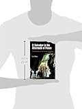 El Salvador in the Aftermath of Peace: Crime, U...