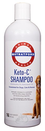 Stratford Pharmaceuticals KETO-C Medicated Shampoo, Chlorhexidine with Ketoconazole (Antibacterial & - //medicalbooks.filipinodoctors.org
