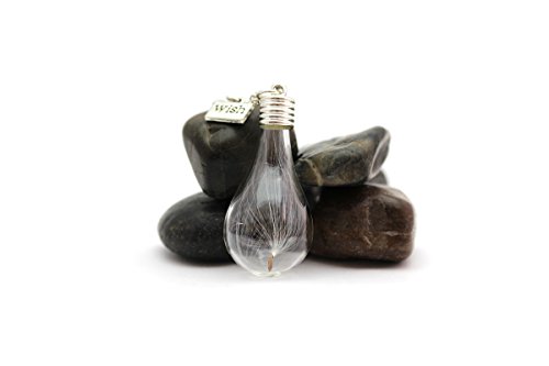 Glass (Wish) Pendant Necklace with Real "Dandelion Seed" Fashion Jewelry
