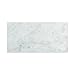 Carrara White Italian (Bianco Carrara) Marble 6 X 12 Subway Field Tile, Polished