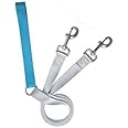 2 Hounds Design Freedom No Pull 1 Inch Training Leash ONLY Works with No Pull Harnesses (Turquoise)