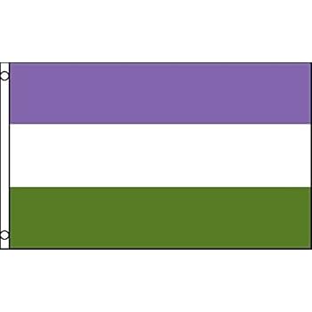 Amazon.com : Genderqueer Non-Binary Rainbow 5'x3' Flag by 1000 Flags ...
