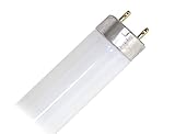 Philips 384198 - F15T8/TL865 Plus Natural Daylight 15 Watt T8 Fluorescent Tube Light Bulb F15T8-6500K Preheat Lamp Replaces F15T8/D F15T8/SUN F15T8/SPX65 F15T8/D/TP F15T8/DL F15T8/Daylight