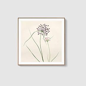 Framed Canvas Home Artwork Decoration Beautiful Flower Canvas Wall Art for Living Room, Bedroom - 16x16 inches