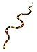 Safari Ltd. Coral Snake Figurine - Detailed 23
