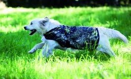 Rambo Camoflauge Dog Blanket X-Large