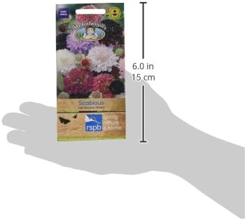 Mr. Fothergill's Tall Double Scabious Mixed Flower Seeds - Image 4