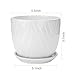 Brajttt Flower Pots and Transplanter 5.5 Inch Cylinder Ceramic Plant Pots with Connected Saucer, Planters for Succuelnt and Little Snake Plants (4 Pack, White)