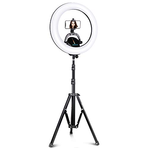 UBeesize Ring Light Kit 17.5” Outer Led Ring Light with Wireless