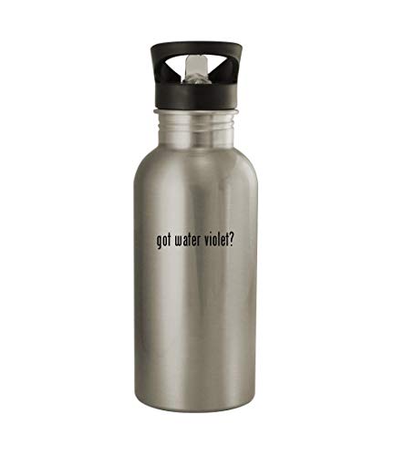 Knick Knack Gifts got Water Violet? - 20oz Sturdy Stainless 