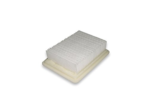 Hoover FloorMate Filter, 40112050 - //medicalbooks.filipinodoctors.org