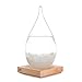 Storm Glass Weather Predictor glass Barometer Forecaster Creative Crystal Decorative Bottles Desktop Drops Forecast bottle Home and Office Birthday Christmas Gifts