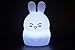 Bear Kids Night Light, iWheat Soft Silicone Tap & Remote Control Night Light, LED Multicolor Night Light Portable USB Rechargeable Best for Baby Children