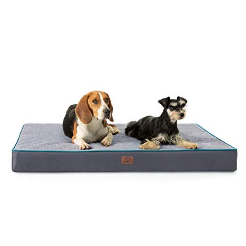 tempurpedic for dogs