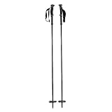 BLACK DIAMOND Carbon Compactor Trekking Poles