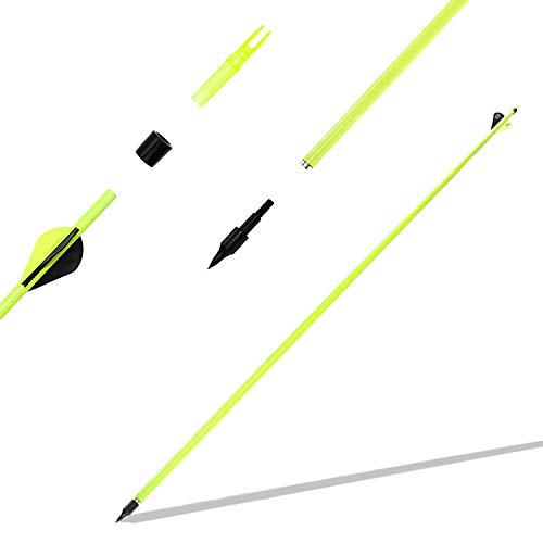 JY-Sports Targeting Arrows 30'' Inch Carbon Fiber Hunting Arrows Outdoors Archery Green Shaft with Replace Arrow Tips and Removable Nock for Compound Bow a Dozen Arrows in Box (Green)