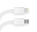 Twelve South Hirise for iPhone/iPad | Adjustable Charging Stand, Requires Apple Lightning Cable, Gold