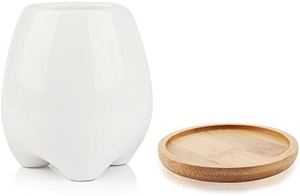 Longess Succulent Planter, Tiny White Ceramic Small Tooth Cactus Plant Pot with Bamboo Tray Decorative Miniature Unique Flower Potting Container