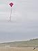 In the Breeze 2994 — Pink Diamond Kite, 30-inch, Easy-Flying Kite for Kids, Teens, Adults