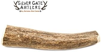 Silver Gate AntlersAntlers for Dogs - Deer Antler Chew Small 4 to 5 Inch - USA Antler Dog Chew - Long Lasting All Natural Dog Chews - Naturally Shed Deer Antler - Durable Chew Toys