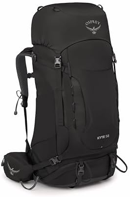 40l black hole patagonia Black Hole Wheeled Duffel 40L