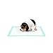 Thxpet Puppy Pads Super Absorbent Leak-Proof 120Count Dog Pee Training Pads 17.5 x 23.5