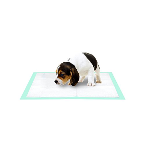 Thxpet Puppy Pads Super Absorbent Leak-Proof 120Count Dog Pee Training Pads 17.5 x 23.5
