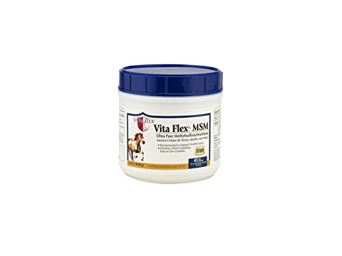 Vita Flex Pro MSM Joint Supplement | Odorless | For Horses, Ponies, Dogs and Cats | 1 lb (3000093)