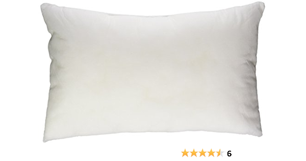 10 x 16 pillow insert