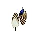 Mojo Decoys HW2448 Baby Cloudy Day Wings primary