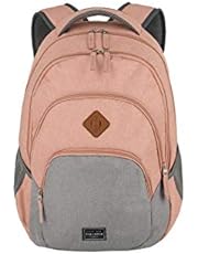 Travelite „Basics“: Rucksäcke für Städtetrips, Fahrrad- und Wandertouren – modern, funktional,sicher Rucksack, 45 cm, 22L, Rosa/Grau