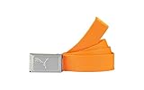 Puma Golf Youth Boys Jr Kids Works Web Belt