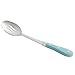 The Pioneer Woman Slotted Spoon Teal