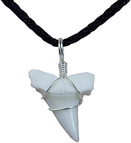 GemShark Real Shark Tooth Necklace for Boys Girls Unisex Mako Sterling Silver Charm Pendant