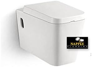 NA2112P White Porcelain Elongated SIPHONIC One-Piece Square Construction TOILET, Wall Hung Comfort Height Seat, A Siphonic High Efficiency Eco-Friendly, Cyclonic Dual Flush Action, 1.6/1.0GPF pick up