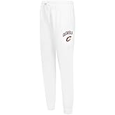 Pro Standard NBA Womens Womens NBA Classic Chenille Brushed Back French Terry Sweatpant