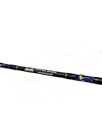 Pesca de agua salada Roller Varillas 2 Pack 100   120 lb.