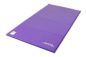 FBSPORT 8inches4 inches Thickness airtrack mat26ft23ft