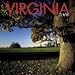 Virginia by 