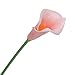 Luyue 20 Pcs Fake Calla Lily Artificial Flowers Bridal Wedding Bouquet Latex Real Touch Flower Home Kitchen Office Decor-Coral Pink