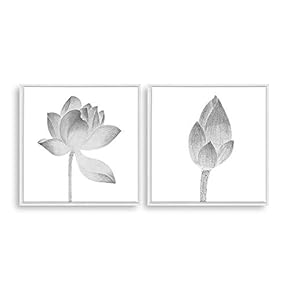 2 Piece Framed Canvas Home Artwork Decoration Transparent Flower Canvas Wall Art for Living Room, Bedroom - 16"x16"x2 Panels