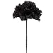 Larksilk Black 3.5