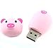 Aretop Flash Drive Cute 16GB, USB 2.0 Cute USB Memory Stick Pendrive for Computer 16GB Thumb Drive USB Jump Drive Gift for Girls Kids Present