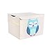 DII Nursery or Playroom Storage Toy Chest with Flip Lid (17 x 15 x 12), Owl