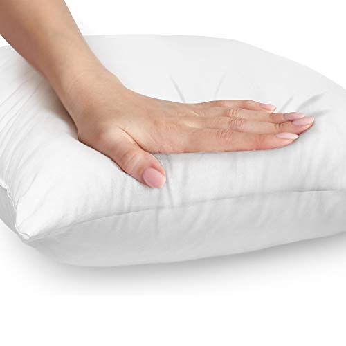 Hannah Linen Throw Pillows 20 x 20 Pillow Insert Set of 4 Throw