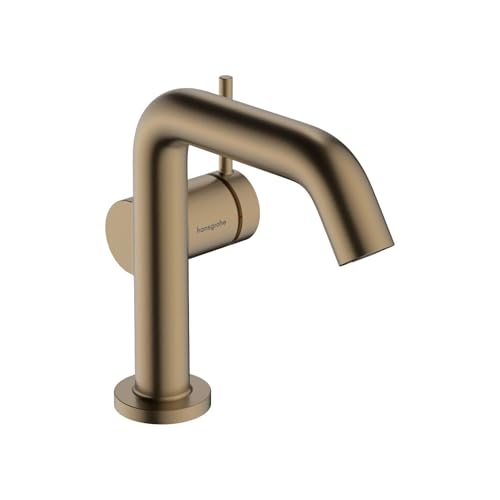 hansgrohe Tecturis S Modern 1-Handle 1-Hole 6-inch Tall Bathroom Sink Faucet in