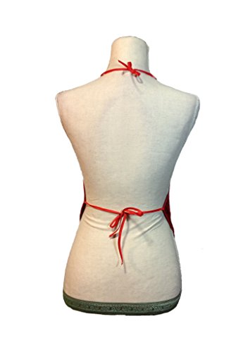 Silk Brocade Halter Top Chinese DuDou 肚兜 (Butterfly, Dragonfly, Blossoms, Dragon & Phoenix) - Image 4