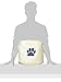 Bone Dry Pet Storage Collection Collapsible Bin, Medium Round, Off-White