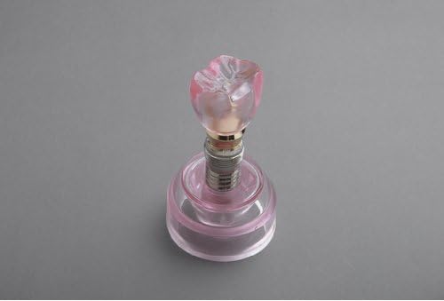 1 Piece of Dental Decorative Gifts Orthodontic Implant Teeth Model M2020 by Moredenal