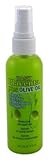 Hask Placenta Leave In Conditioning Hair Care Treatment with Olive Oil, 5 Ounce Spray - 6 per case.
